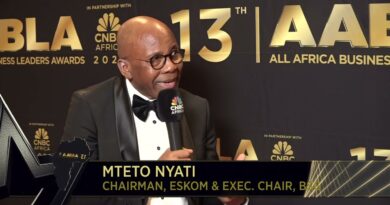 13th Annual All Africa Business Leaders Awards: Mteto Nyati named Chairperson of the Year