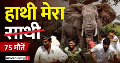 ओडिशा में बढ़ता हाथी-मानव संघर्ष, स्टोन क्रशर, खदानें हैं असली कारण या वजह कुछ और