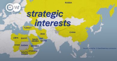 ‘A lack of political will’ Why don’t nations step forward to stop the war in Sudan? | DW News