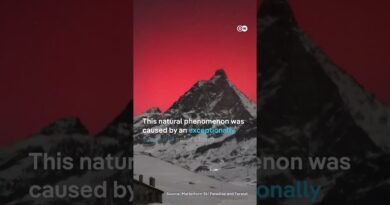 “A symphony of colors” – spectacular auroras around the globe | DW News