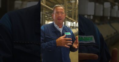 A team of researchers in the #Netherlands is working on reducing #nitrogen emissions from #cows.