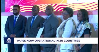 Afreximbank hosts Farewell Conference & Investiture ceremony in Cairo