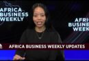 Africa Business Weekly: FirstRand Chief Vilakazi backs Africa’s investment case