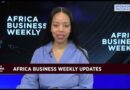 Africa Business Weekly: Measuring the Global Inquality Gap