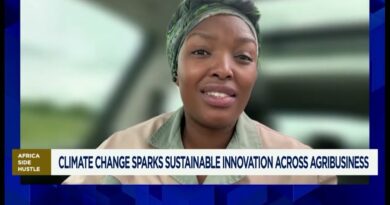 Africa Side Hustle: Agribusiness side hustles evolve into scalable enterprises