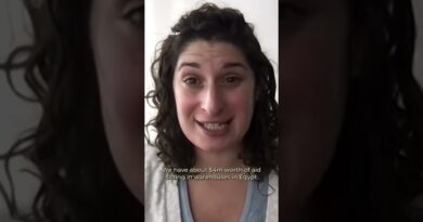 Aid entering Gaza since ceasefire is “wholly insufficient”