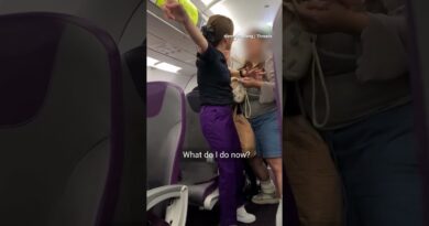 Airline removes couple after preflight brawl