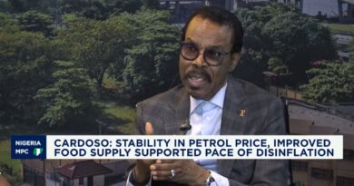 Analysts laud CBN MPC rate hold as resolute