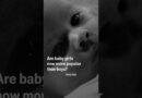 Are baby girls now more popular than boys?