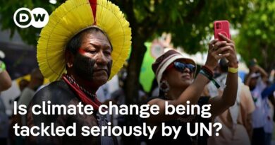 Are climate protesters having any affect on UN climate talks in Brazil? | DW News