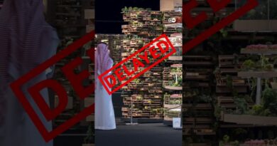 Are Saudi Arabia’s transformation efforts failing? | DW News