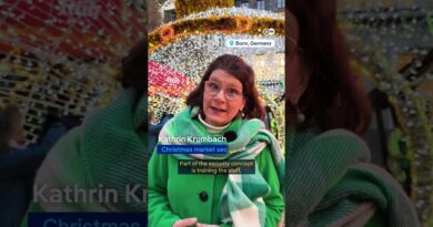 Are security fears hurting Xmas markets? | DW News