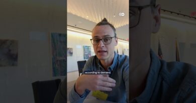 Are stablecoins good money? | DW News