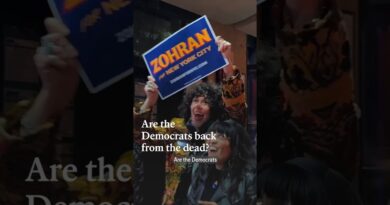 Are the Democrats back from the dead?