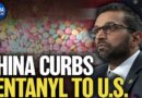 Beijing Curbs Fentanyl Precursor Exports to America