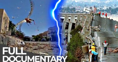 Biblical Locust Swarm & Mega Earthquake | Disaster Deja Vu | Free Documentary