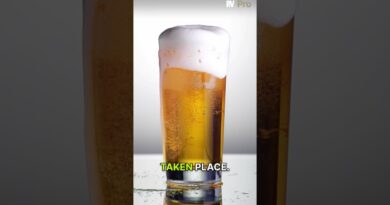 Bitcoin Breaks Down While Stocks Hold Strong: A New Market Divergence