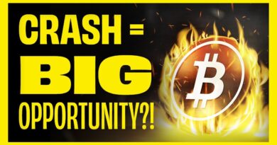 Bitcoin Drops to a 6-Month Low 📉: Is an Altcoin Season Ahead?