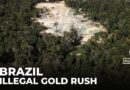 Brazil’s illegal gold rush: Indigenous people & environment bear a heavy toll