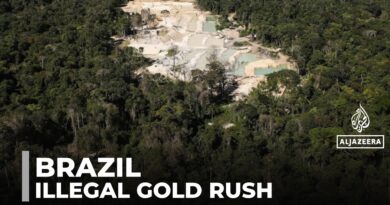 Brazil’s illegal gold rush: Indigenous people & environment bear a heavy toll