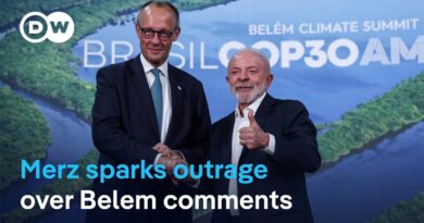 Brazil’s Lula and Belem’s mayor push back against Merz | DW News