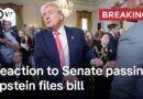 Breaking: Senate passes bill forcing release of the Epstein files | DW News