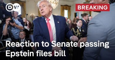 Breaking: Senate passes bill forcing release of the Epstein files | DW News