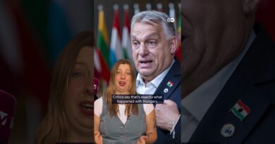 Brussels: Trial EU membership for Ukraine and co.? | DW News