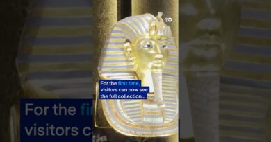 Cairo’s Grand Egyptian Museum showcases King Tutankhamun’s complete treasure | DW News