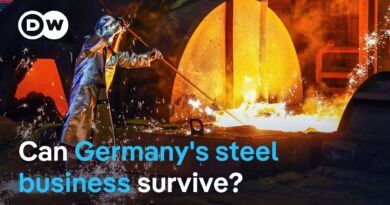 Can Germany’s steel industry survive deepening cost crisis? | DW News