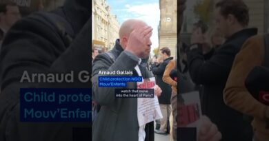 Childlike sex doll scandal sparks protest at Paris Shein store opening | DW News