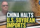 China Halts US Soybean Imports Despite Trade Deal
