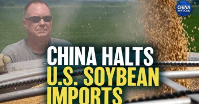 China Halts US Soybean Imports Despite Trade Deal
