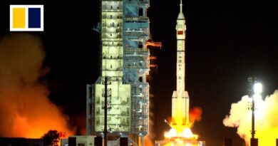 China launches Shenzhou-21 with lab mice on board