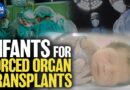 China’s Hidden Atrocity: Infant Organ Transplants | China in Focus