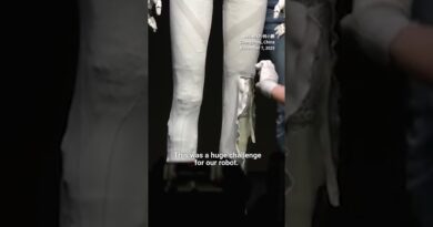 Chinese firm cuts open its robot to prove it’s not human