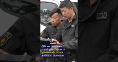 Chinese robots join Hong Kong’s bomb squad to keep National Games safe