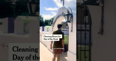 Cleaning Bones for Day of the Dead