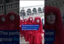 Climate activists dye Venice’s Grand Canal green | DW News