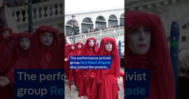 Climate activists dye Venice’s Grand Canal green | DW News
