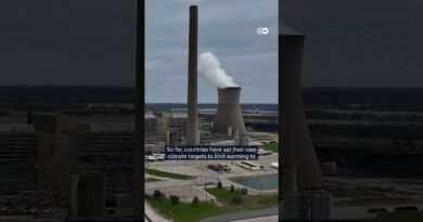 COP30: 80+ countries demand fossil fuel phaseout | DW News