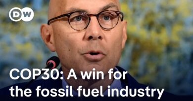 COP30: How ‘corporate power imbalances play out in the climate emergency’ | DW News