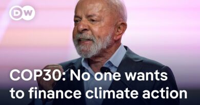 COP30 in Brazil: What would fairness in climate funding actually look like? | DW News