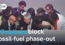 COP30 seals climate deal that sidesteps phase-out of fossil fuels | DW News