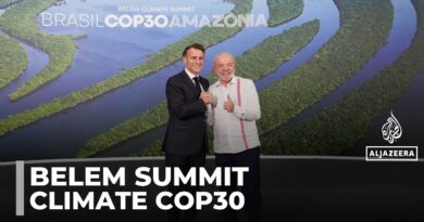 Cop30 summit in brazil: UN secretary general lashes out at oil corporations