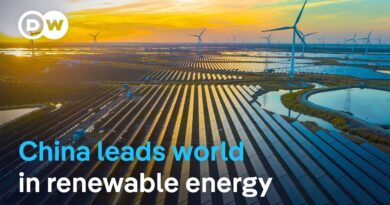 Could China take over as the world’s climate leader? | DW News