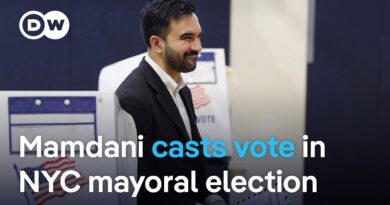 Could Zohran Mamdani be the future of the Democratic Party? | DW News