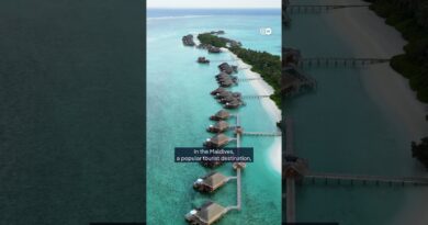 Countries push for new flight tax at COP30 | DW News