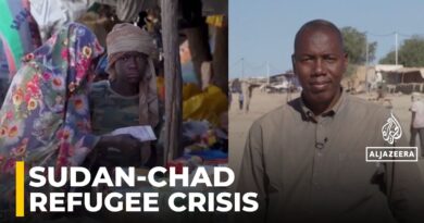 Cross-border crisis: Thousands of refugees flee for neighbouring Chad