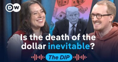 Currencies threatening dollar dominance, the Mamdani economic experiment | The Dip Podcast